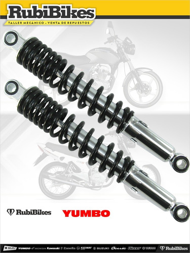 Amortiguador Gs2 Set X 2 Calidad A