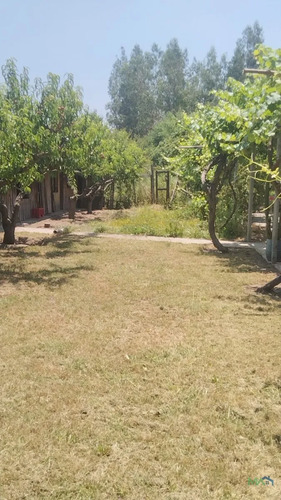 Parcela De 1 Hectárea En El Recurso, Buin | Piscina, Pozo Y