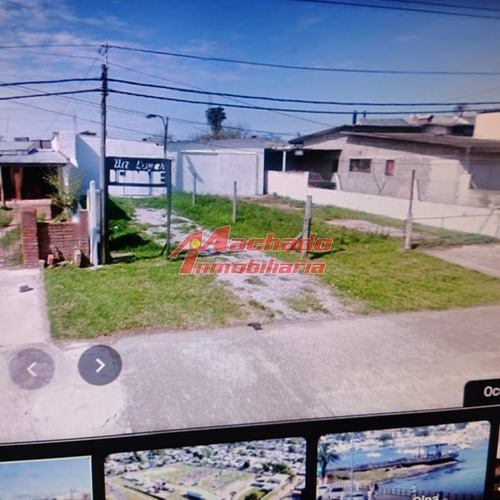 Imagen 3 de 6 de Galpón Comercial En Maldonado