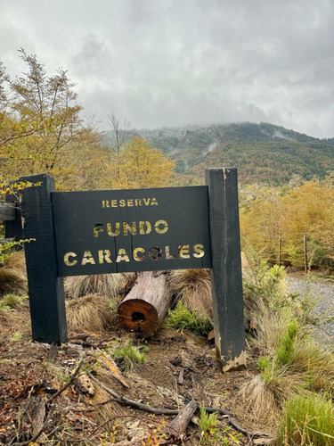 Exclusivos Lotes De 5.000 M2 En Reserva Fundo Caracoles