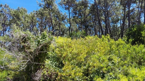 Imagen 4 de 5 de Terreno En Venta En Mar Azul