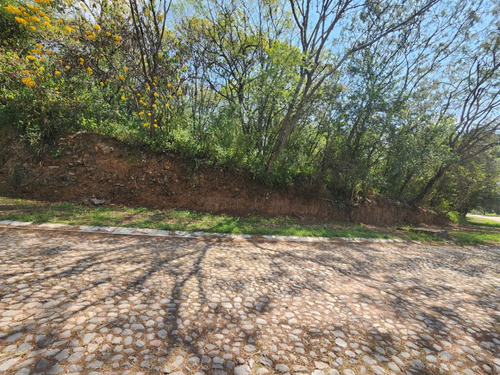 Venta De Lote San Diego 8 Sobre Boulevard Muy Cerca De Las Amenidades Y Del Hotel Del Fracc Rancho San Diego Ixtapan De La Sal Edomex. Se Incluye Proyecto