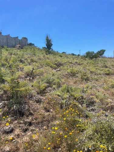Sitio En Venta En Quintero