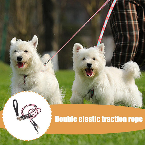 Cuerdas Para Perros Correas Elásticas Doble Cuerda Accesorio