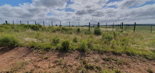 Se Venden 23 Hectareas En Jose Ignacio