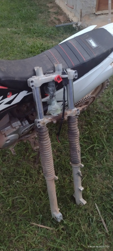 Crf1 50f