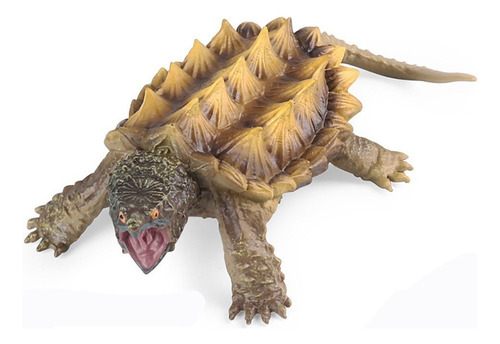 Modelos De Tortuga Caimán Marino Simulación Wildlife-