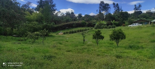 Imagen 1 de 6 de Vendo Casa Lote De 6.100 M2 En Pacho Cundinaarca