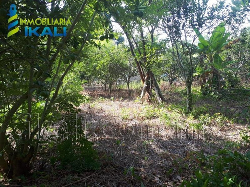 Imagen 1 de 8 de Terreno En Venta Juana Moza