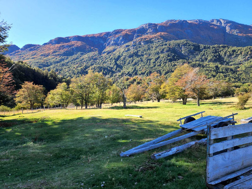 A 20 Km. De Cerro Castillo (76133)