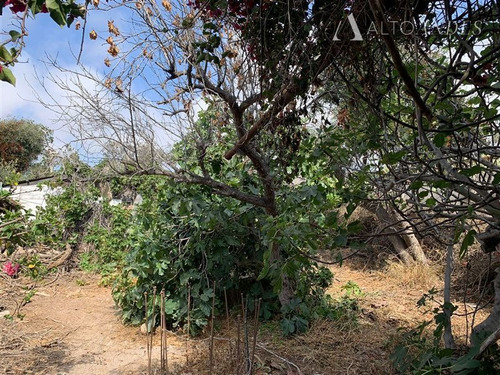 Imagen 9 de 12 de Sitio En Venta En La Serena