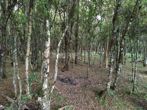 Imagem 13 de 17 de Chácara Para Venda - 10561.001