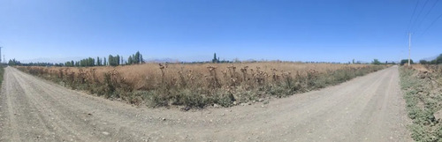 Sector El Taqueral