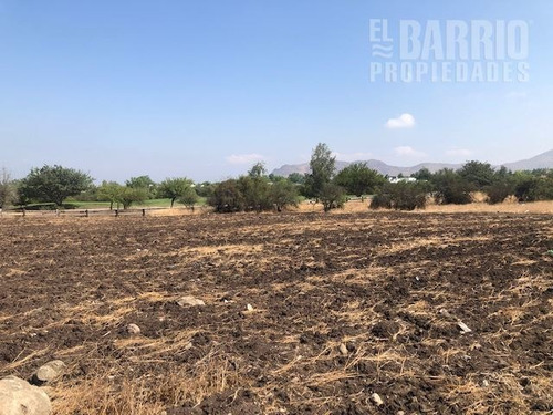 Imagen 2 de 6 de Sitio En Venta En Colina