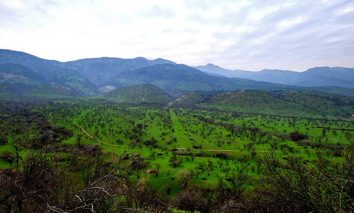 Parcela Hacienda Guay Guay.