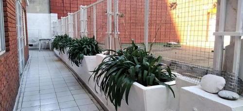Imagen 12 de 16 de Departamento - Palermo