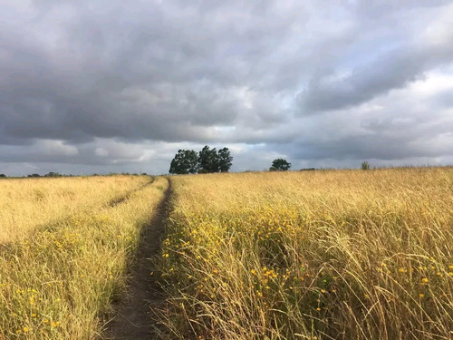 Venta De Campo En Pan De Azúcar, 36 Ha Con Vista A Las Sierras De Las Animas, Costa Al Arroyo El Renegado, 3 Tajamares.