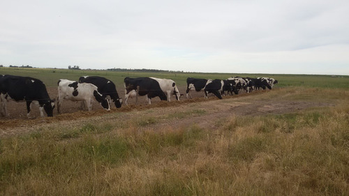 Campo En Venta En General López
