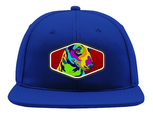 Snapback Perro Colores Gorro Bordado