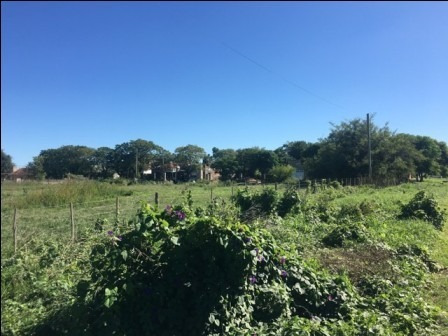 Terreno En Venta En San Juan Bautista