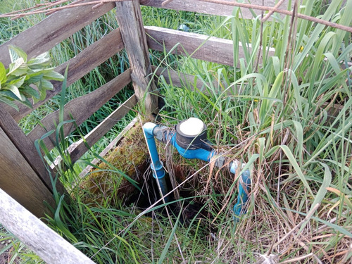 Hermosa Parcela Con Servidumbre Privada Al Lago Llanquihue