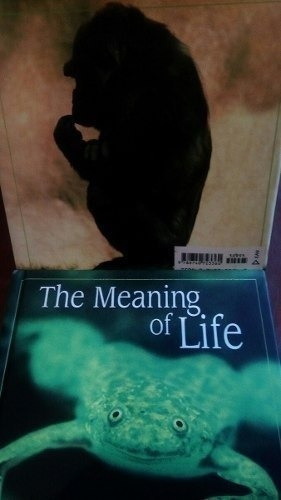 The Meaning Of Life Bradley Trevor Greive Frases Fotos