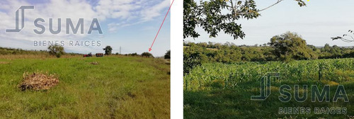 Rancho En Venta Sobre Carretera Tuxpan - Tampico, Ozuluama Veracruz