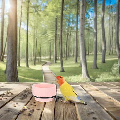 Comedero De Comida Y Agua Para Loros, Cuenco Extraíble De Ce