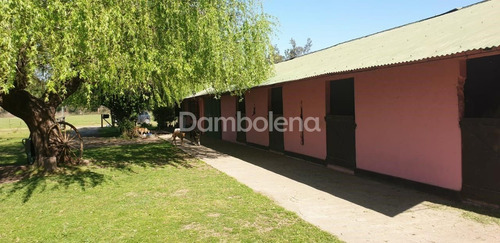 Imagen 11 de 27 de Terreno En Venta O Permuta Ubicado En General Rodríguez, General Rodríguez