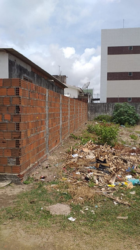 Imagem 9 de 12 de Terreno Para Venda - 009223