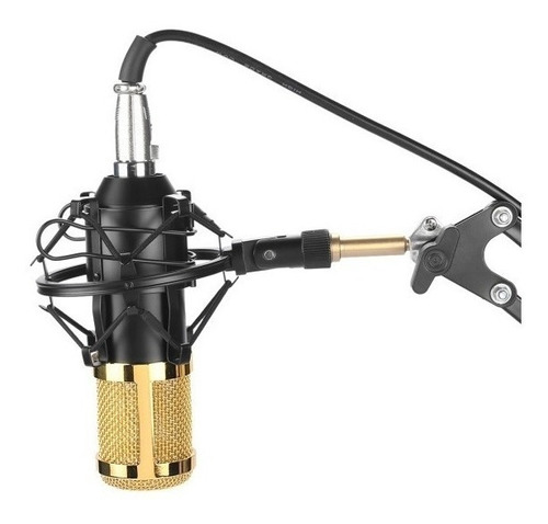 Imagen 1 de 10 de Microfono Condenser Fifine F-800 Estudio Karaoke Nuevo