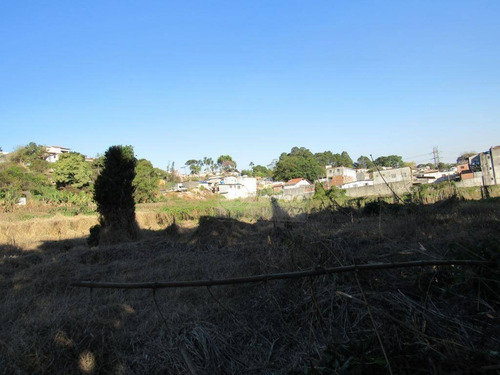 Imagem 21 de 26 de Terreno À Venda, 14900 M² Por R$ 9.000.000,00 - Jardim São João (zona Norte) - São Paulo/sp - Te0138