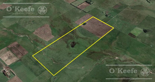 Imagen 26 de 29 de Campo Mixto De 170 Has En San Vicente. Oportunidad!
