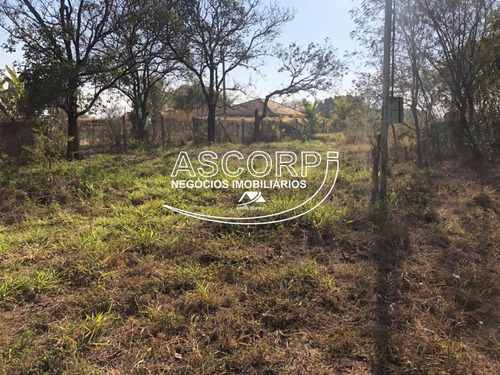 Imagem 8 de 22 de Ótimo Terreno Para Chácara No Ondinhas Em Piracicaba (código Ch00043) - Ch00043 - 69881080