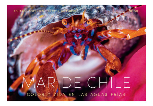 Mar De Chile (tapa Dura), De Eduardo Sorensen & Hector Jaramillo. Editorial Origo Ediciones, Tapa Dura, Edición 1 En Español, 2017