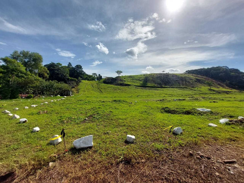 Imagen 7 de 10 de Próxima Residencial