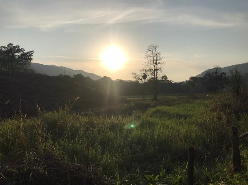 Imagem 18 de 29 de Fazenda À Venda, 3509000 M² Por R$ 2.000.000 - Centro - Pariquera-açu/sp - Fa0216