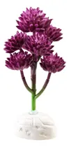 Comprar Planta De Terrario Aquaneat, Planta De Reptiles, Planta Para