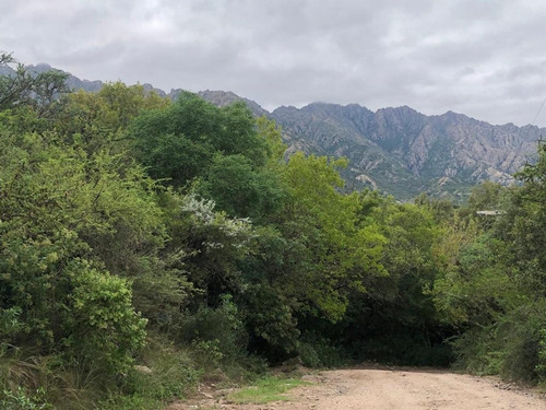 Terreno 4000 M2 En Venta En Villa Elena - Cortaderas