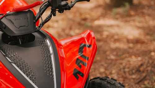 Quadriciclo Cfmoto Cforce 110 Lv 4 Tempos