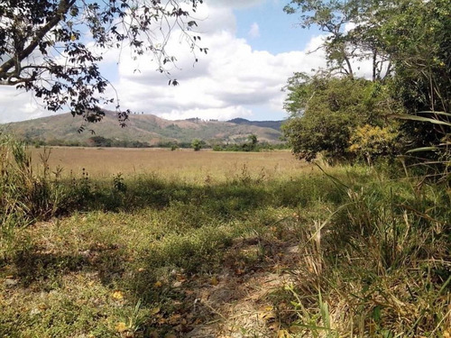 Imagen 10 de 11 de Finca En Venta En Bejuma, Carabobo