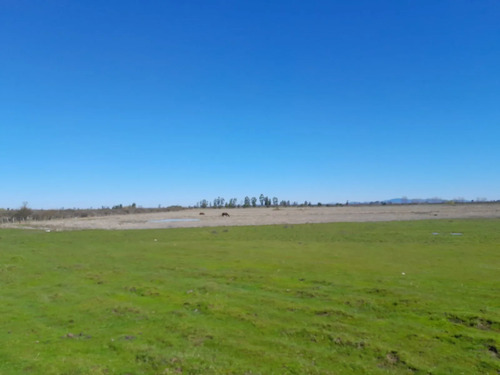 Lindo Campo Para Desarrollo Inmobiliario