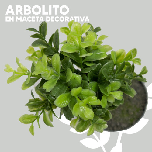 Arbolito Paquete 10 Pzs Maceta De Hojalata 22 Cm