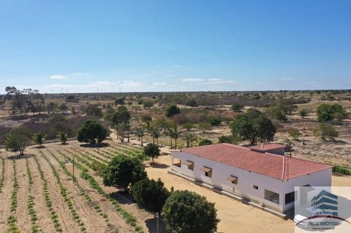 Imagem 10 de 18 de Granja A Venda Lagoa Nova