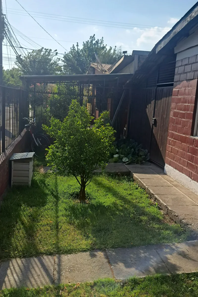 Imagen 3 de 12 de Casa En Venta -covigra Graneros