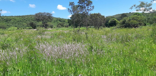 Imagem 15 de 15 de Fazenda Para Venda Em Monjolos, Quebra Pé, 4 Dormitórios, 1 Banheiro - F16_1-1713401