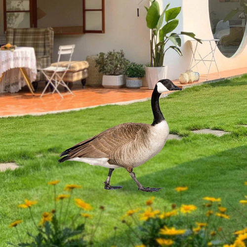 Pieza De Decoración De Jardín Al Aire Libre Con D