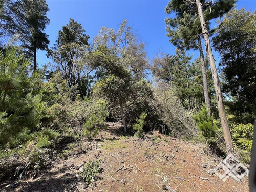 Sitio En Venta En Pichilemu