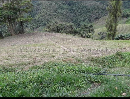 Milagros Inmuebles Terreno Venta Jimenez Lara Quíbor Economica Residencial Economico Comercial Código Inmobiliaria Rent-a-house 22-5384