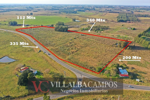 Imagen 1 de 4 de Villalba Campos Vende 5 Has Sobre Ruta 67